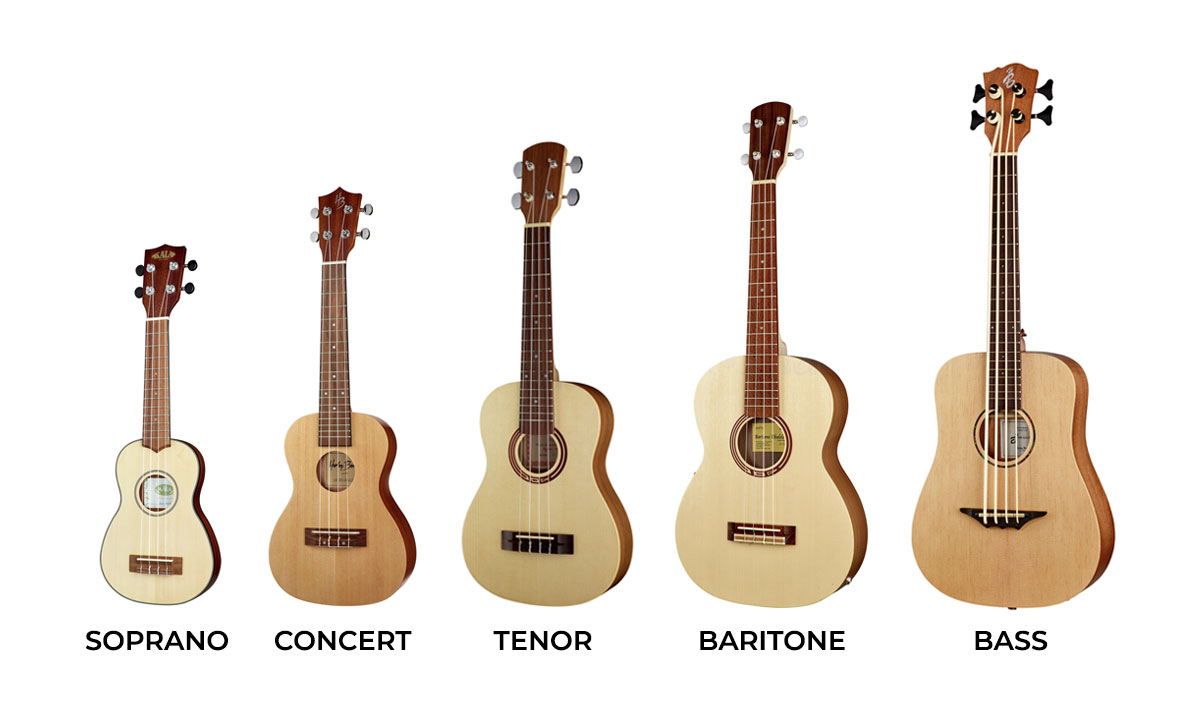 The Definitive Guide to Sizes and Shapes Of Ukuleles Yousician